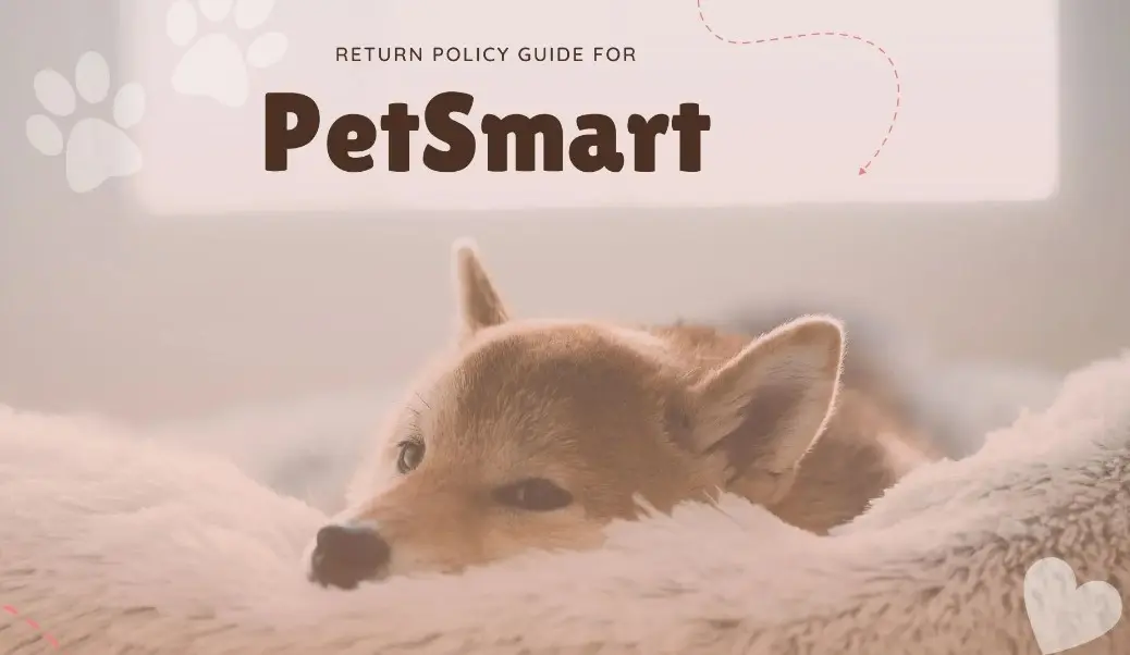 PetSmart Return Policy